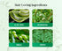 Kesavridhy Hair Growth Oil
